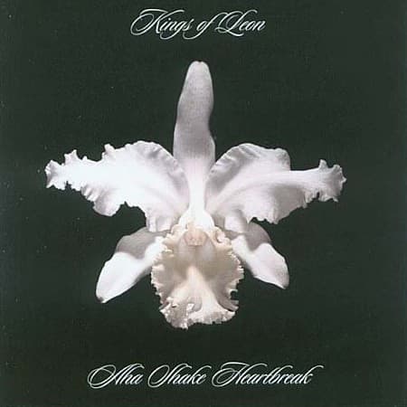 KINGS OF LEON – KINGS OF LEON – AHA SHAKE HEARTBREAK
