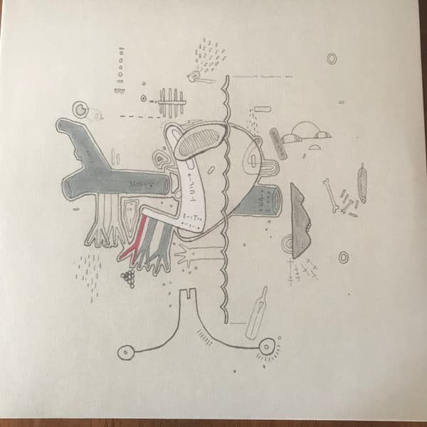 FRIGHTENED RABBIT – FRIGHTENED RABBIT – TINY CHANGES (180 GR 12"-LTD.)