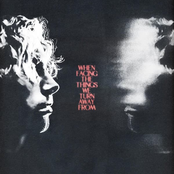 HEMMINGS, LUKE – WHEN FACING THE THINGS...