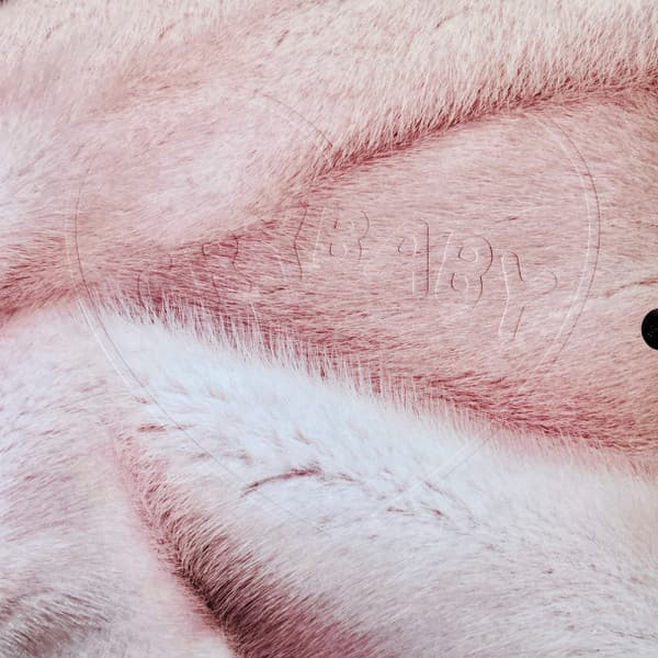 MARTINEZ,MELANIE – MARTINEZ,MELANIE – CRY BABY + DOLLHOUSE (140 GR 12" COLOURED-LTD.)