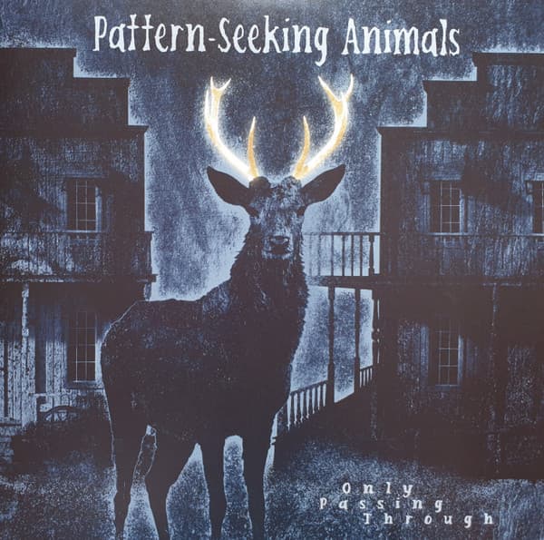 PATTERN-SEEKING ANIMALS – PATTERN-SEEKING ANIMALS – ONLY PASSING THROUGH