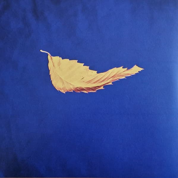 NEW ORDER – NEW ORDER – TRUE FAITH (180 GR 12" LPS-LTD.)