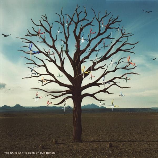 BIFFY CLYRO – BIFFY CLYRO – OPPOSITES (140 GR 12")